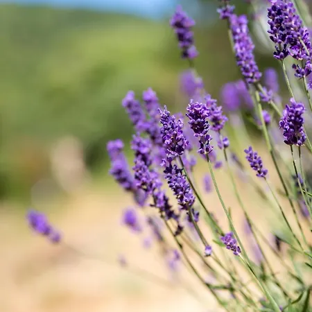 Du Pont De Calmel Сasa de vacaciones Rieussec